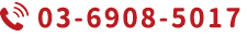 03-6908-5017